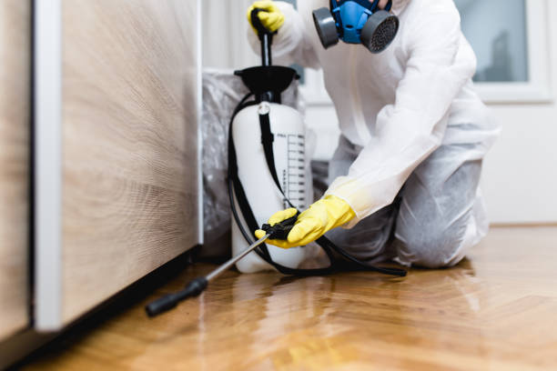 Best Rat Extermination Near Me  in Bonduel, WI