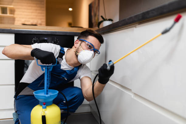 Best Mosquito Control Services  in Bonduel, WI