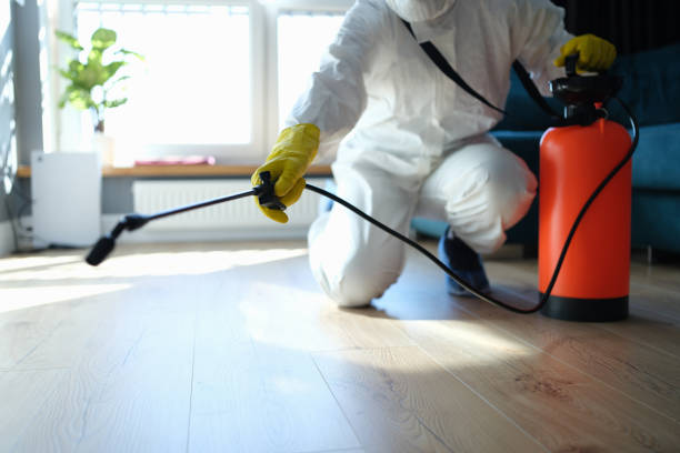 Best Flea Control Services  in Bonduel, WI