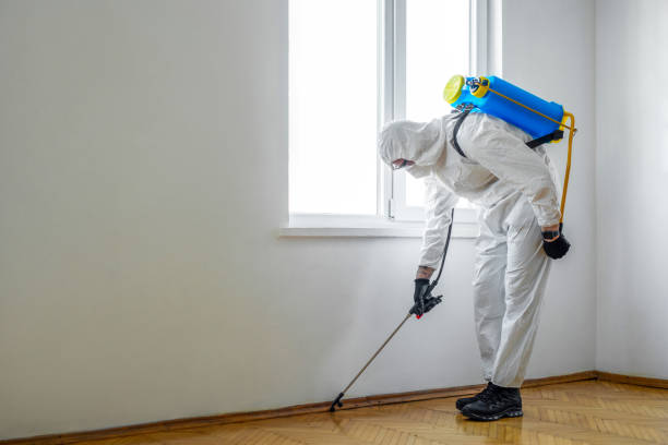 Best Pest Prevention Services  in Bonduel, WI