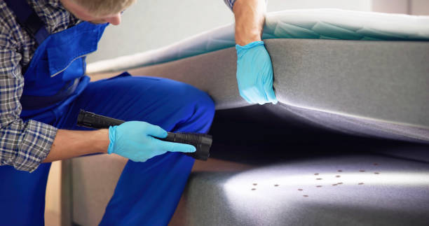 Best Pest Inspection Near Me  in Bonduel, WI