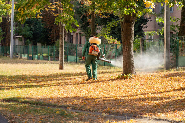 Best Best Pest Control Companies  in Bonduel, WI