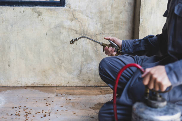 Trusted Bonduel, WI Pest Control Experts